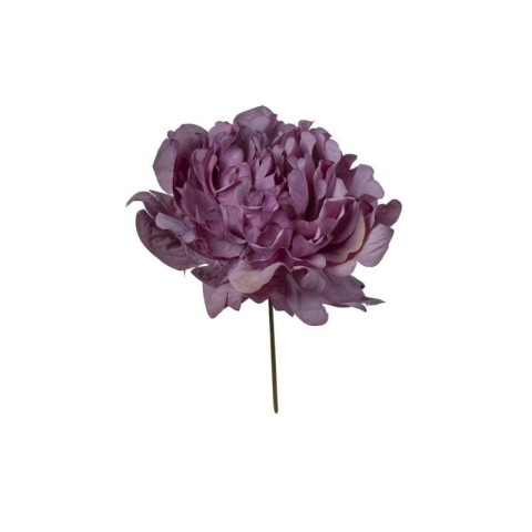 PICK PEONIA PURPLE 13X13X16